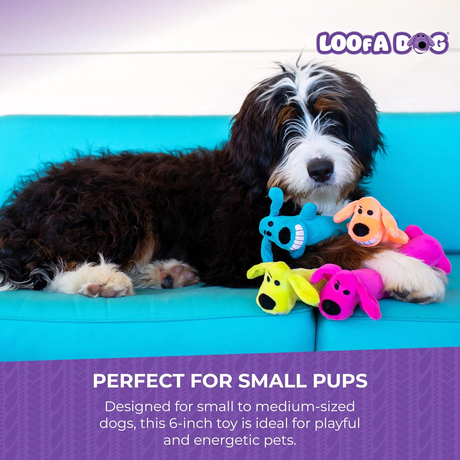 Squeaky Plush Loofa Dog Toy 6 Inch for Small Breeds, Assorted Colors - Image 7