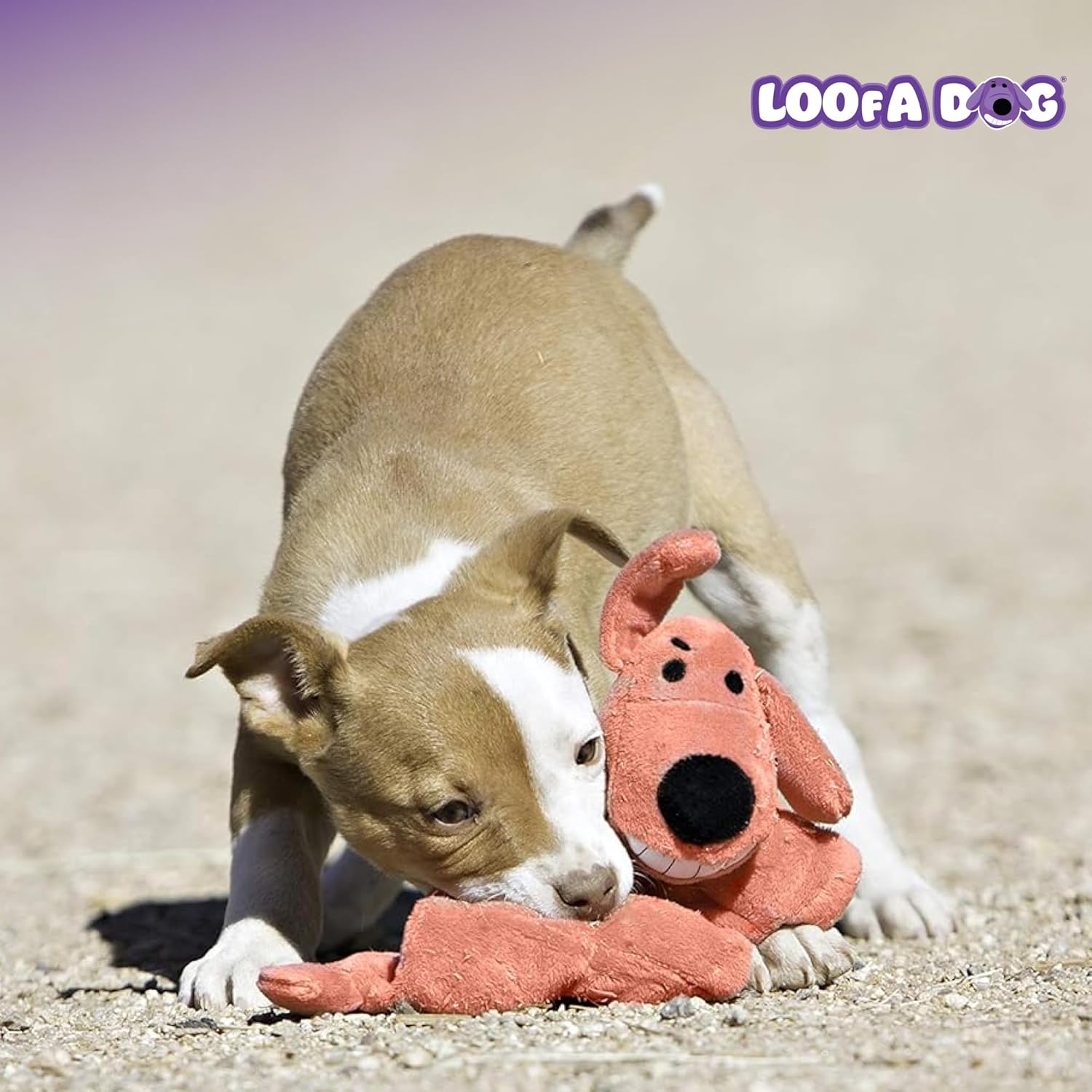 Squeaky Plush Loofa Dog Toy 6 Inch for Small Breeds, Assorted Colors - Image 8