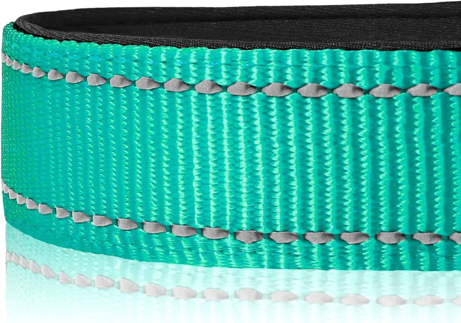 Reflective Dog Collar for Night Safety, Padded Nylon, Large Teal - Image 4
