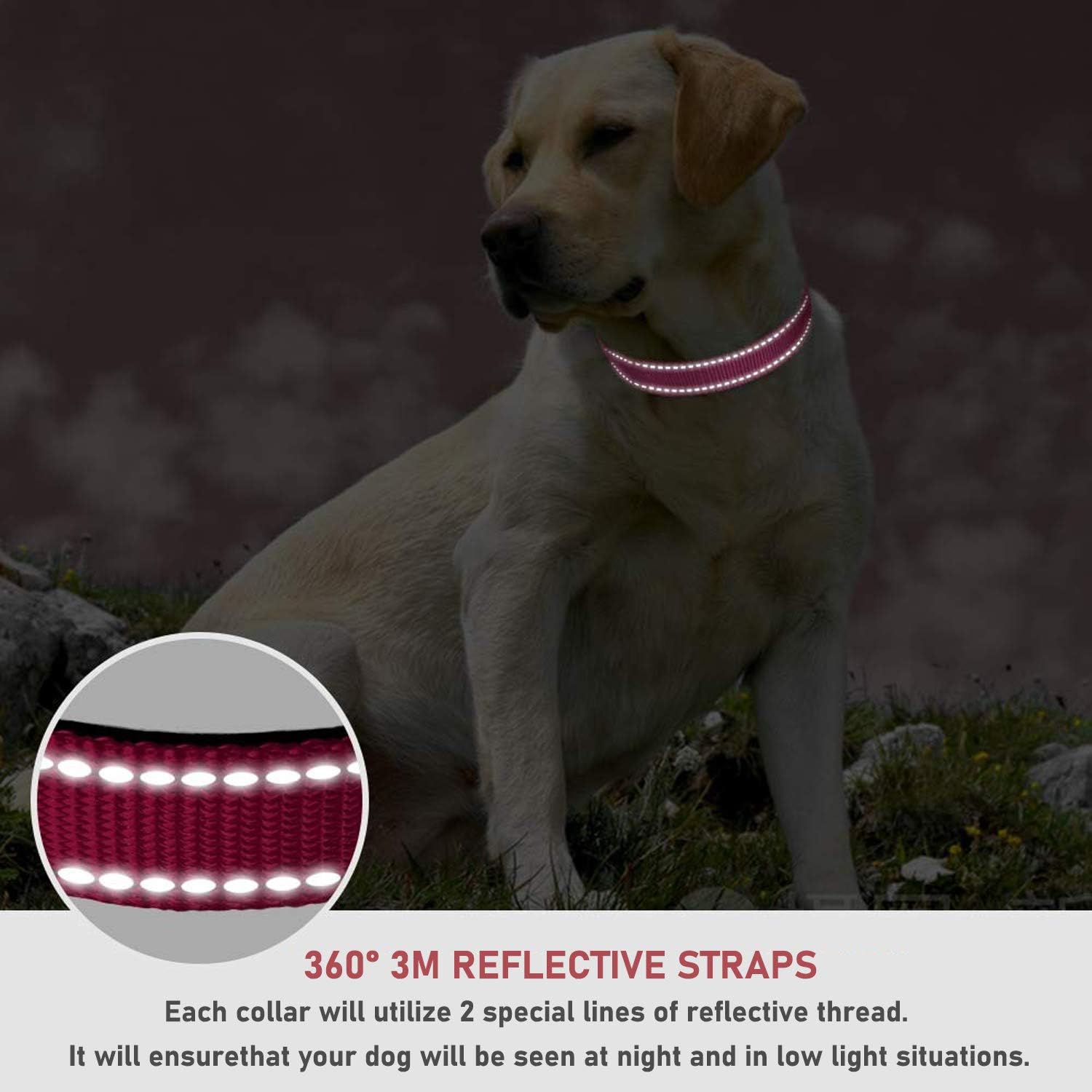 Reflective Dog Collar for Night Safety – Adjustable Padded Nylon Collar for Small Dogs, Hot Pink - Image 4