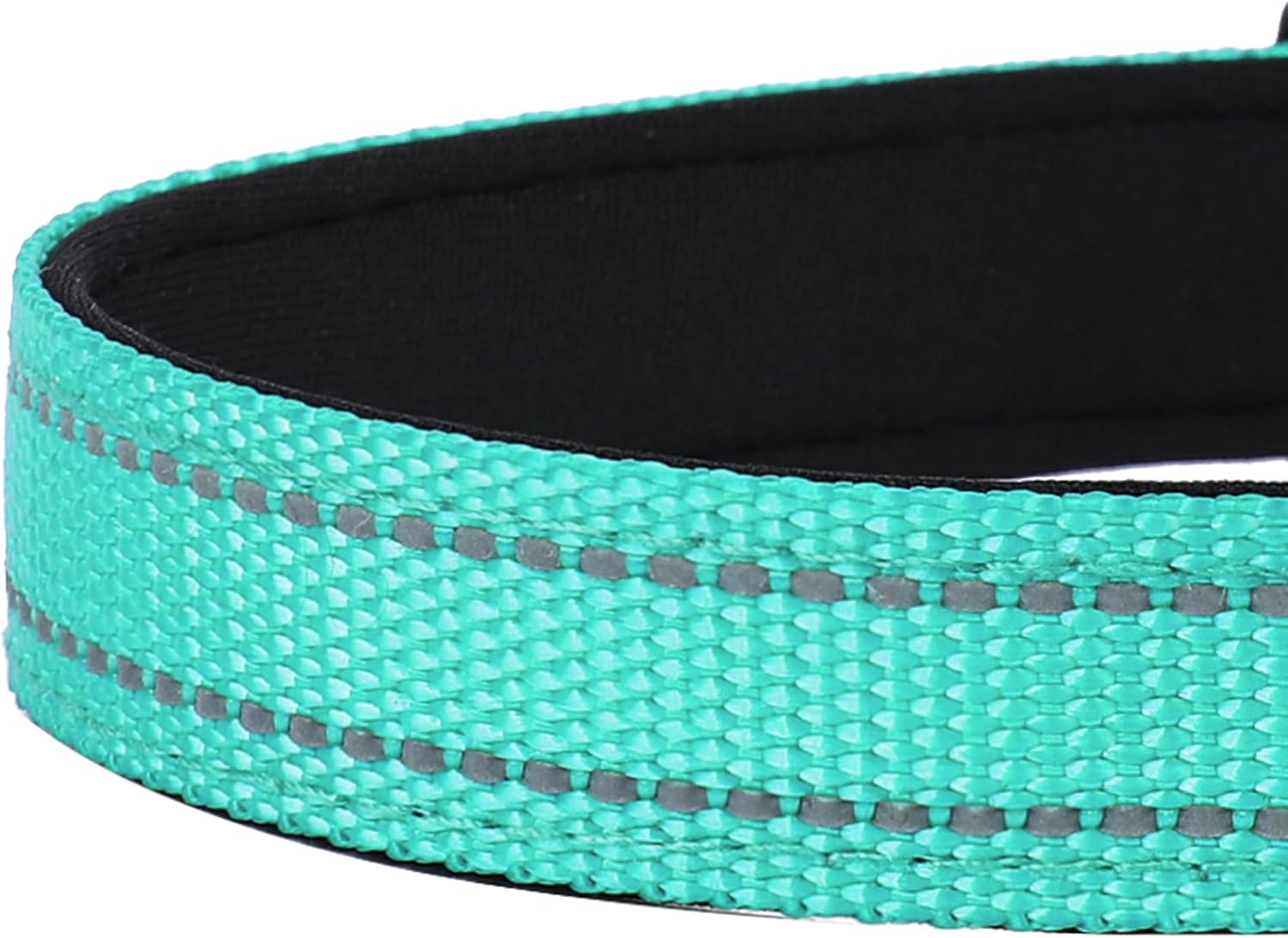 Reflective Dog Collar – Adjustable Neoprene Padded Nylon Collar with Buckle for Medium Dogs, Teal - Image 5