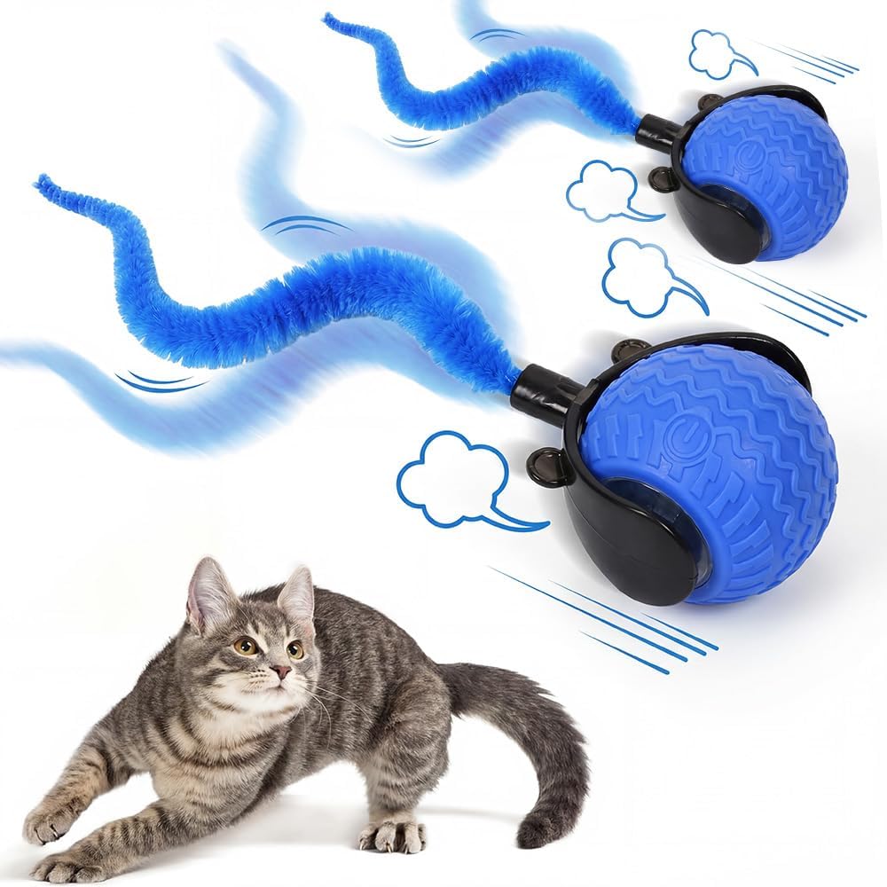 Automatic Moving Cat Toy Ball – Interactive Rechargeable Feather Tail Toy for Indoor Cats (2 Pack Blue)